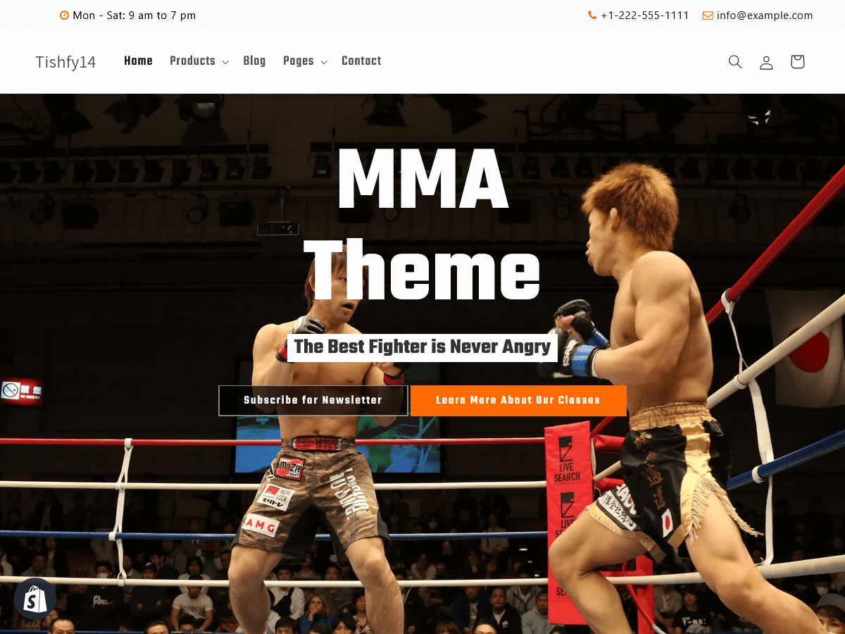 Theme Preview